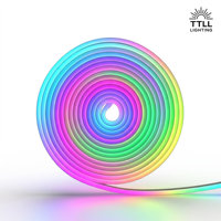 Tira de neón LED RGBIC direccionable de 24V, programable digitalmente, de silicona, para bares, discotecas, escenarios, luz de cuerda de color de ensueño