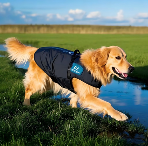 OEM ODM Smart Pet GPS Tracker Monitoreo de la salud del perro 4G WiFi Ubicación en tiempo real Anti-Pérdida Collar impermeable con cerca virtual - Product Image 2