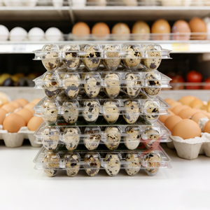 Пластиковый блистерный лоток для перепелиных яиц на 20, 24, 30 яиц, прозрачный, одноразовый, с крышкой, для упаковки куриных и перепелиных яиц - Product Image 2