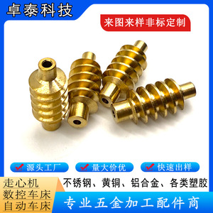 Custom <b>Worm</b> Gear Nonstandard CNC Machined Brass <b>Worm</b> Shaft For Transmission Parts Motor Accessories - Product Image 2