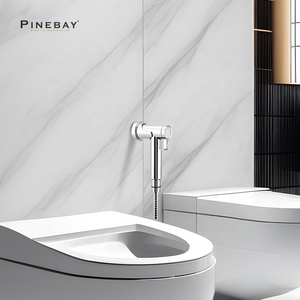 PINEBAY аксессуар для ванной комнаты хромированный пластиковый магнитный Набор для биде с распылителем для смесителя с одной холодной водой - Product Image 2