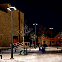 Lampe solaire tout-en-un LED commerciale CE efficace 50W pour rue et jardin, télécommande, rechargeable, étanche, 6000K, en fonte