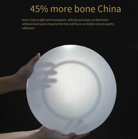 Assiette de luxe en porcelaine fine de 9 pouces avec logo personnalisé, bord doré, blanche, décorée à l'extérieur, pour la restauration et les hôtels 5 étoiles