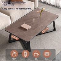 Table basse haut de gamme de luxe léger pour petits appartements et bureaux, table d'appoint simple avec cadre métallique et plateau en panneau de densité