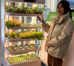 Petit jardin hydroponique LED pour la maison, système de culture de plantes d'intérieur avec pompe et contrôle PLC - Product Image 2