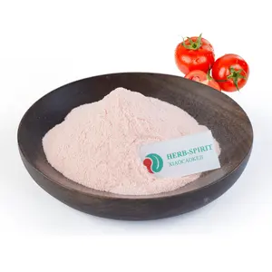 Whole Sale Tomato Powder With Best Price