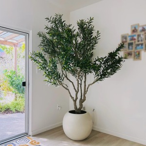 Haut de gamme artificielle <span class=keywords><strong>olivier</strong></span> grand vert intérieur aménagement paysager plante <span class=keywords><strong>en</strong></span> <span class=keywords><strong>pot</strong></span> pur à la main <span class=keywords><strong>en</strong></span> plastique usine <span class=keywords><strong>en</strong></span> <span class=keywords><strong>gros</strong></span> <span class=keywords><strong>pour</strong></span> un usage domestique - Product Image 6