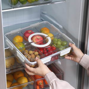 Contenedor de almacenamiento de especias de plástico sin BPA, contenedor de almacenamiento de alimentos, juego de organizador de almacenamiento de nevera con asa - Product Image 3