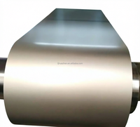 Bobine d'acier prélaqué PPGL Aluzinc 0,2-1,0 mm 600-1500 mm pour toiture de bâtiment