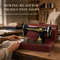 Machine à coudre domestique classique HNRB, corps en fonte, manivelle manuelle, moteur électrique vintage, coffret en bois pour atelier de couture, vente en gros