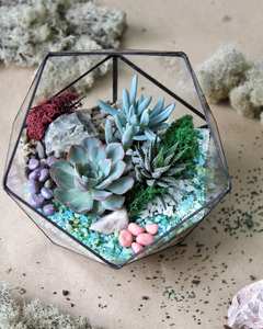 Kit de Terrario Personalizado para Crear tu Propio <span class=keywords><strong>Oasis</strong></span>, Decoración para el Hogar, Ideal para la Sala de Estar, Excelente para Regalos de Inauguración - Product Image 1