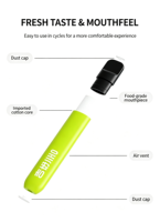 Bâtonnet buccal fruité sans nicotine, emballé individuellement, compact et portable, substitut du tabac pour une utilisation quotidienne relaxante, aide à l'arrêt du tabagisme