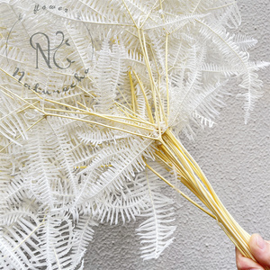 Fiori secchi naturali all'ingrosso piante reali <span class=keywords><strong>angelo</strong></span> eterno felce foglie di felce conservate per la decorazione domestica decorazione di nozze - Product Image 6