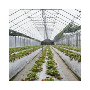 <span class=keywords><strong>Serre</strong></span> <span class=keywords><strong>de</strong></span> film tunnel à travée unique bon marché avec forme d'arche à vendre Canada États-Unis Mexique Thaïlande Nouvelle-Zélande Australie - Product Image 2