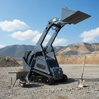 Mini-chargeuse sur chenilles diesel EPA avec moteur et pompe, puissance de 17,2 kW pour la maison, le jardin et la ferme