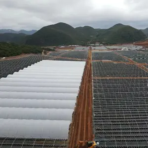 Cubierta de lluvia de película de túnel de invernadero de gran tamaño para uso agrícola Oferta de proveedor