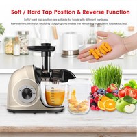 Hete Verkopende Kauwpers Appelwortel Sinaasappel Fruitafzuigers Professionele Slowjuicer Koude Persmachine