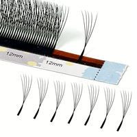 Nouveaux ventilateurs super étroits 2D W3D W4D W5D Clover W Extensions de cils avec 0,07 mm 0,05
