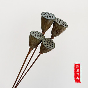 Pétales de lotus séchés, plantes décoratives naturelles, style artistique, accessoires photographiques, petite taille, fleurs séchées en gros - Product Image 1