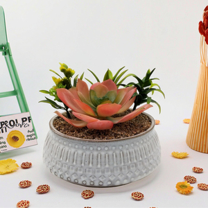 Nhân tạo mọng nước nhà máy sắp xếp trong tráng men sứ <span class=keywords><strong>planter</strong></span> với hiện đại Châu Á Zen phong cách - Product Image 2