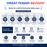 Batería de Botón de Litio Primaria BEVIGOR LiCoO2 CR2450 con Certificación CE, 3V 600mAh, para Juguetes y Electrodomésticos