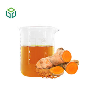 Pasokan Pabrik Ekstrak Kurkumin Organik Bubuk Akar Kunyit Kelas Makanan Suplemen Antioksidan Grosir - Product Image 3