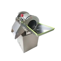 Elektrische Commerciële Multifunctionele Groentekantine Snijmachine Automatische Aardappelsnij-En Snijmachine