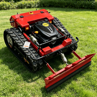 Livraison gratuite SDLOT RC Tondeuse à gazon à chenilles tout-terrain avec moteur essence CE EPA EURO5, Équipement agricole