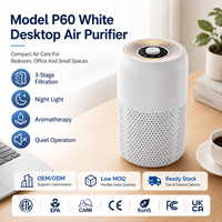 Pembersih Udara Portable True HEPA Penghilang Bau Bulu Hewan Peliharaan Pilihan Distributor untuk Meja Asrama, Hadiah Retail dengan OEM ODM CE RoHS FCC