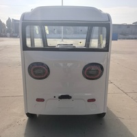 Triciclo Eléctrico de Cabina Cerrada de 800W, 2 Puertas, 3 Asientos, Scooter de Movilidad para Personas Mayores, para el Desplazamiento Diario Familiar, Compras, Recogida de Niños
