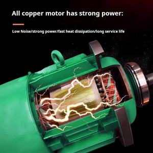 رافعة سلكية كهربائية 1 طن 2 طن سلسلة فولاذية 3 طن GIS جهاز تحكم عن بعد لاسلكي للفنادق وغيرها من الصناعات - Product Image 3