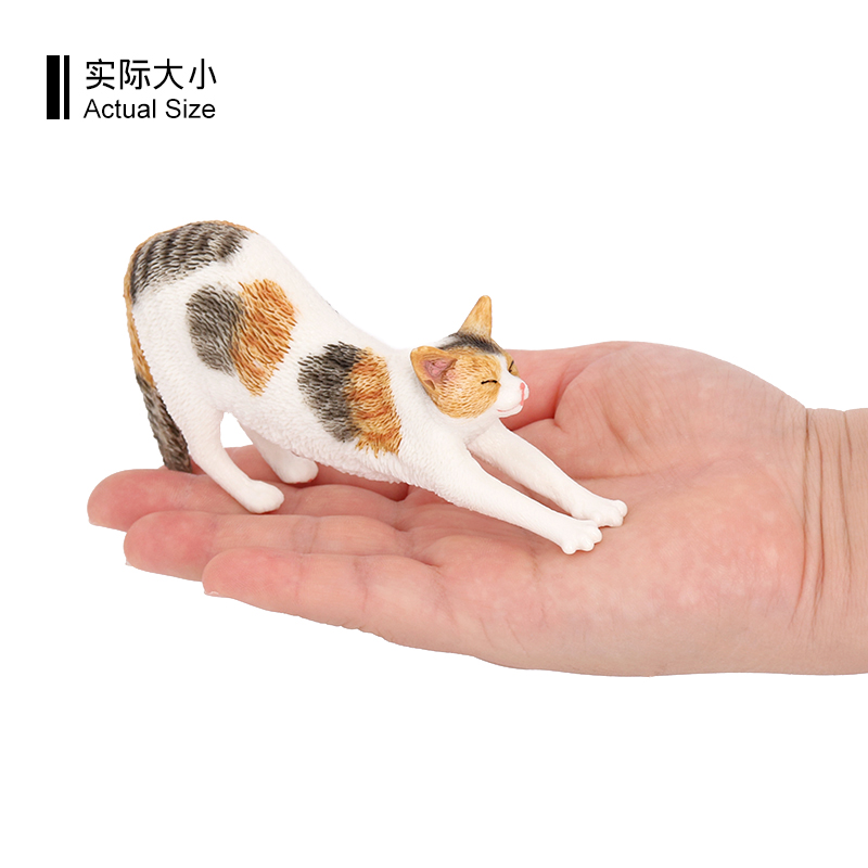 3308 Gatto pigro