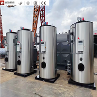 Chaudière à vapeur au charbon de bois de 0,3 à 0,5 tonne, machine de production de vapeur à biomasse bois LHS