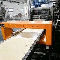 Sonde détectrice de métaux industrielle pour la détection sur convoyeur de matériaux recyclés avec système d'alarme