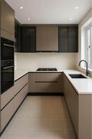 Meuble de cuisine moderne laqué brillant avec évier et cuisinière pour cuisine résidentielle