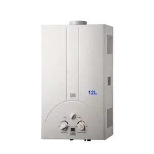 Brand flat grade factory preferential price gas water heater home appliance customization preferred supplier