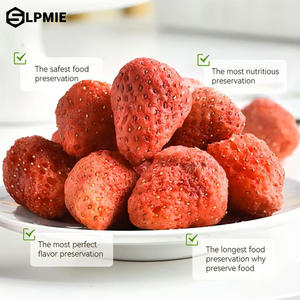 Liofilizador Industrial, Máquina de Liofilización, Liofilizador de Pescado - Product Image 2