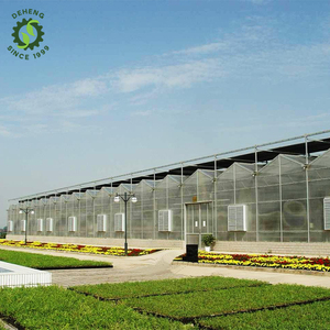 Invernadero Agrícola Grande de Alta Calidad al por Mayor, Invernadero Solar para Cultivo Agrícola, Invernadero de PC DH-P - Product Image 6