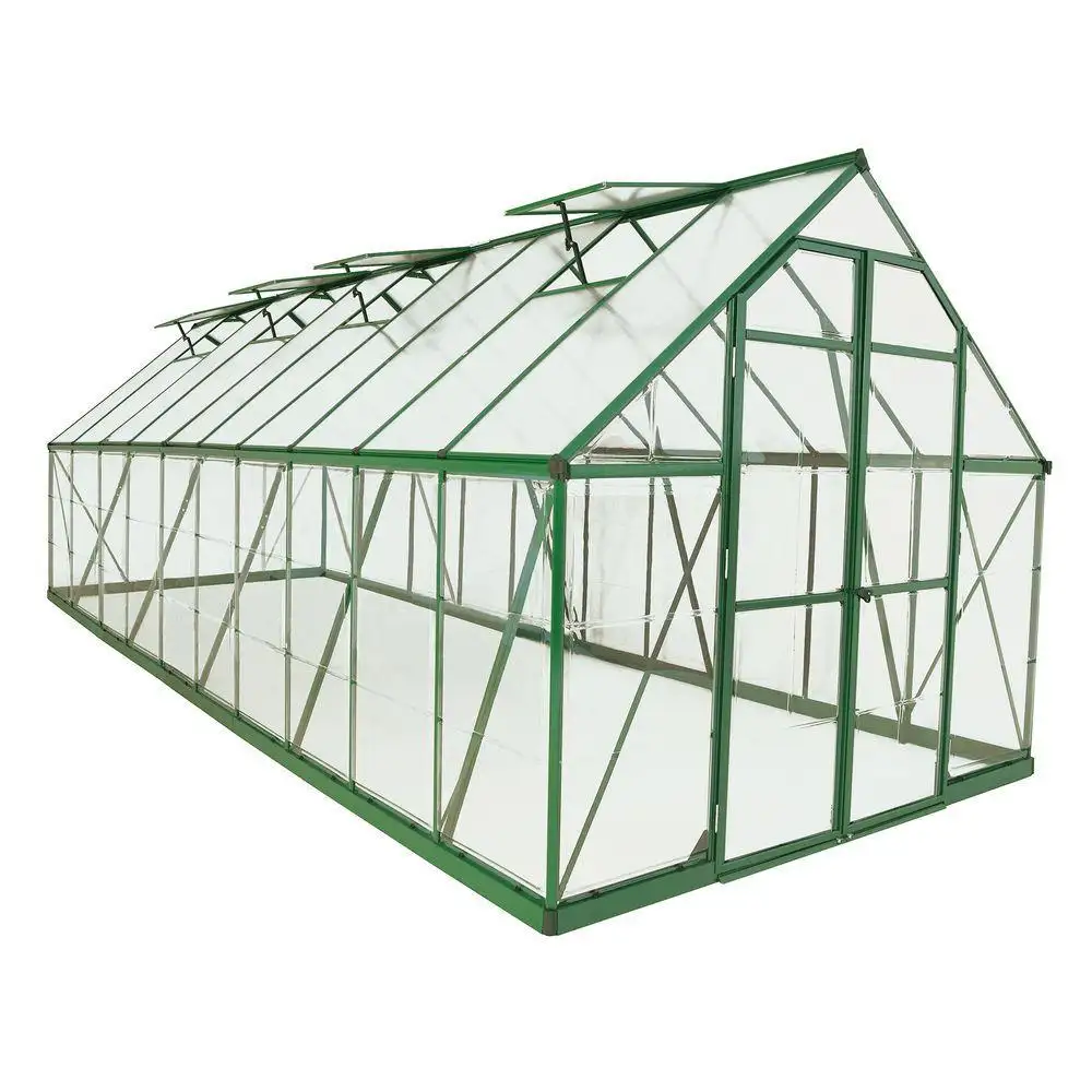 야채 정원 온실 상업용 플라스틱 온실에 대한 터널 PE 필름 온실 식물