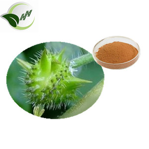 Hoge Kwaliteit Natuurlijke <span class=keywords><strong>Tribulus</strong></span> <span class=keywords><strong>Terrestris</strong></span> <span class=keywords><strong>Extract</strong></span> 90% Saponinen - Product Image 2