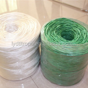 Tốt UV kháng PP <span class=keywords><strong>Baler</strong></span> <span class=keywords><strong>twine</strong></span> màu xanh trắng phân hủy sinh học PP Raffia hay baling Polypropylene <span class=keywords><strong>twine</strong></span> cho nông nghiệp - Product Image 2