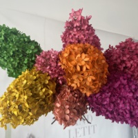 Bunga Hias Alami Bentuk Kerucut Hydrangea Tahan Lama, Bunga Hydrangea Kering Diawetkan untuk Dekorasi Natal dan Pernikahan