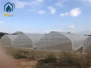 China professional low cost agricultural greenhouse tunnel