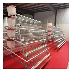 Vente chaude Haute Productivité Automatique Poulailler Cages de couche Cages oeuf poulet batterie