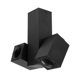 Spot orientable 360° 2xGU10 couleur noir 21x19x6 cm, idéal pour l'éclairage décoratif et un point focal dans n'importe quel espace. - Product Image 1