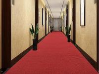 Tapis d'entrée commerciaux en PVC modernes à double rayure, résistants, antidérapants, écologiques, absorbants l'eau et retournant la saleté vers l'extérieur