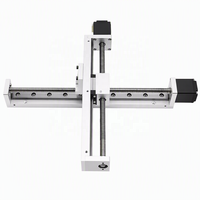 Mini Brazo Robótico Industrial, Manipulador con Plataforma XY de 2 Ejes, Sistema de Pórtico Lineal con Motor y Rodamientos para Máquina de Moldeo por Inyección