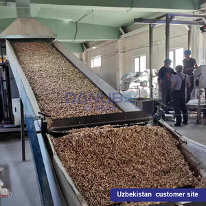 Large-Scale Mesh Belt Vegetable Dryer: Fully Automatic Ginger and Chili Drying Production Line Powered by Coal and Firewood - Product Image 2
