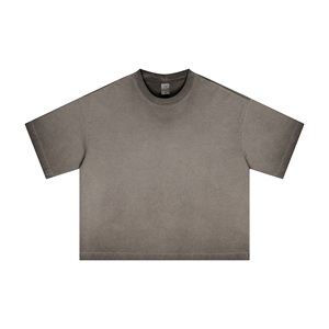 Camiseta de Manga Corta con Cuello Redondo, 100% Algodón, Color Sólido, Estilo Hip Hop, con Logotipo Personalizado en la Parte Delantera, Transpirable, Suave, Corte Regular, para Uso Diario en Verano - Product Image 2