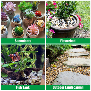 RooTrimmer Rocks para plantas de 20 libras, guijarros pulidos de 0,4-1,2 pulgadas, Piedras decorativas para suculentas, peceras y jarrones - Product Image 3